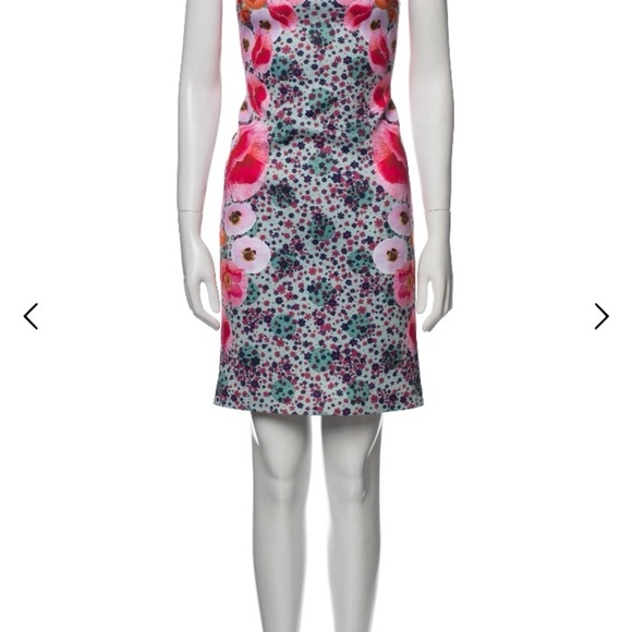 Clover Canyon Floral Scuba Shift Dress Poppy Blossoms Pink Multi Small - Picture 6 of 13